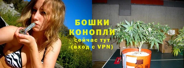 бошки Арсеньев
