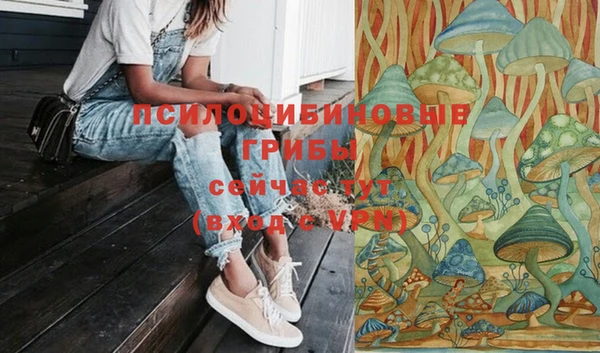 mdpv Армянск